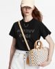 DAF279F7-65F7-97BC-95B4-A895FE48808D.jpg Louis Vuitton Speedy Bandoulière 25 N40608