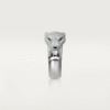 DC3C28BE-620C-85E3-A599-ED3C6CF81804.png PANTHERE DE RING