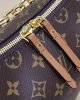 Louis Vuitton Loop Hobo M46311