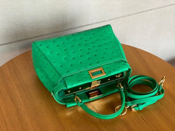 DDD1E09A-3A85-8016-E5DC-0385276994FC.jpg Fendi Peekaboo Mini Bag