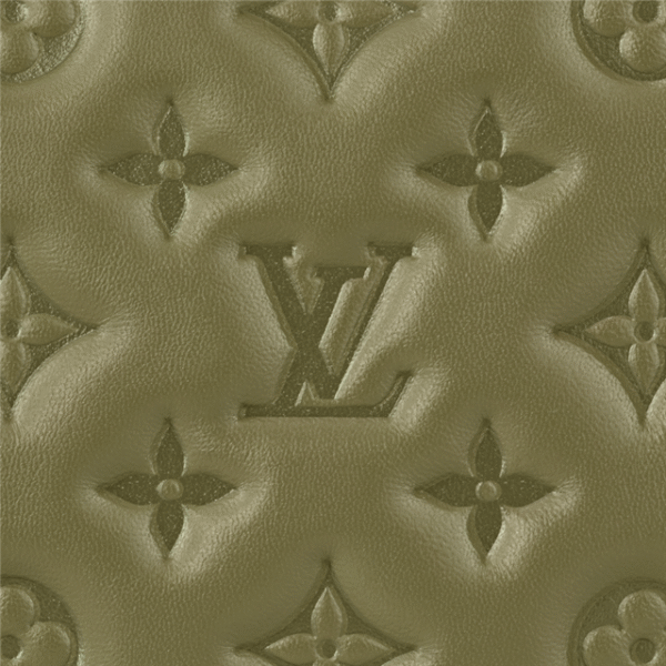 DF7268A7-F7DD-09B5-D841-43D503A1E144.png COUSSIN MM M20568