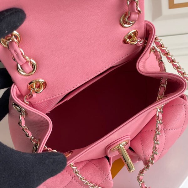 DF7D440F-A5D5-2967-A003-D0FE9C470B15.jpg Chanel Backpack PM