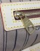 Louis Vuitton Delightful MM M40353