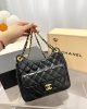 E507DB38-77BE-07FA-D562-D9E224A61F26.jpg Chanel 23C Hobo New Gold Coin Bag