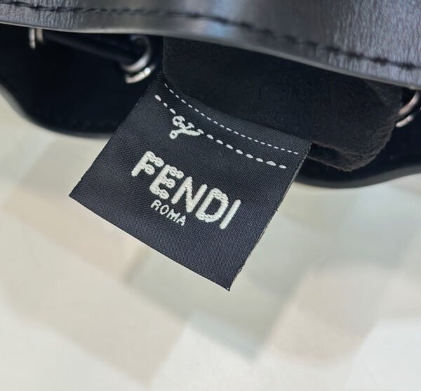 E573DCB5-C24C-C926-AD04-AACF7F1ACADB.jpg Fendi Mon Tresor Mini Bag