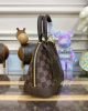 E62906D9-618D-D61E-F53D-4B5907DFC896.jpg Louis Vuitton Alma BB N41221