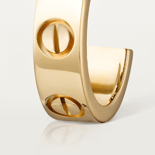 E67AE49B-DECC-9225-A694-721C2A897921.png LOVE EARRINGS