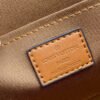 EB76EE3E-2B21-FB1D-8C62-4CEF76E20DE8.jpg Louis Vuitton Dauphine Capitale M46751