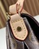 Louis Vuitton Favorite MM M40718