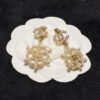 EBD4A739-8BF5-3AC7-A936-171277506297.jpg cc Earrings