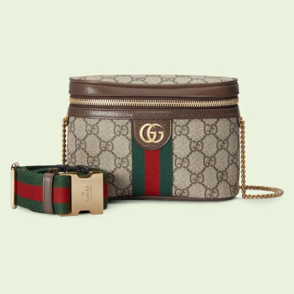 ED9B0F9F-3A5E-0635-08EB-A9ADDDA9B4F4.jpg OPHIDIA BELT BAG