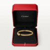EEE4CBED-F977-1C7D-B1AE-E69A3EC29A97.png PANTHERE DE BRACELET