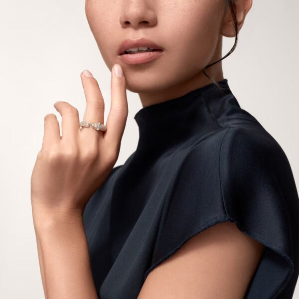 PANTH&Egrave;RE DE RING