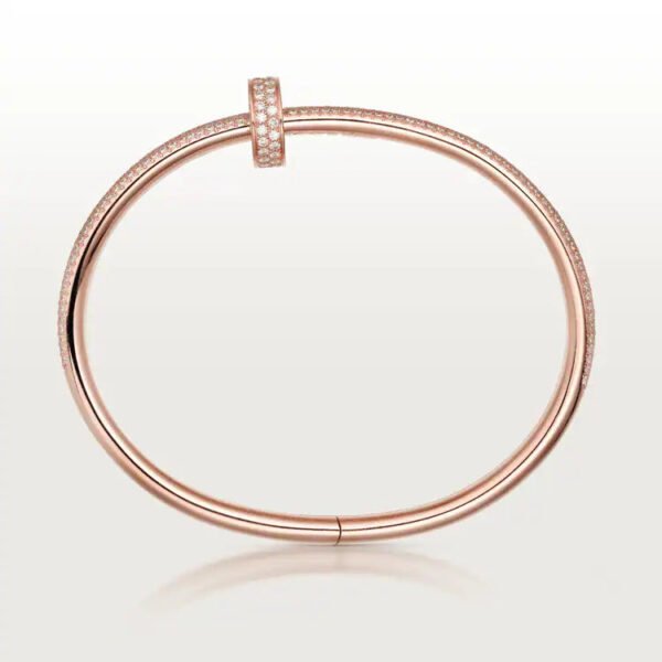 F061D06D-3FC9-864C-48ED-BEA2BACE1C5A_44582853-cd28-41bd-b5a7-64216c1488ca.jpg JUSTE UN CLOU BRACELET