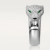 F1703A7E-E85B-F40B-1DB8-E3A542E61D21.png PANTHERE DE RING