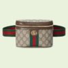 F66472D9-554F-8CFA-BBF0-1F4A681D0DD3.jpg OPHIDIA BELT BAG