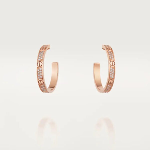 F851DF8B-3239-89A5-D196-703EA37136EF.jpg LOVE EARRINGS