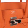 Birkin 25 Orange Togo Palladium Hardware