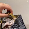 Fendi Sunshine Medium