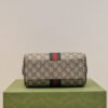 FC88F786-DADA-F796-329F-B9000A37F437.jpg Gucci Ophidia GG Mini