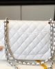 CHANEL Classic Flap Handbag SILVER METAL
