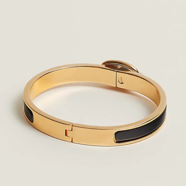 FFAAA0F5-5C75-46E2-3034-F62008CECE81.jpg Hermes Mini Clic Chaine d'Ancre bracelet